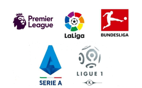 盟无疑会提 盟无疑会提